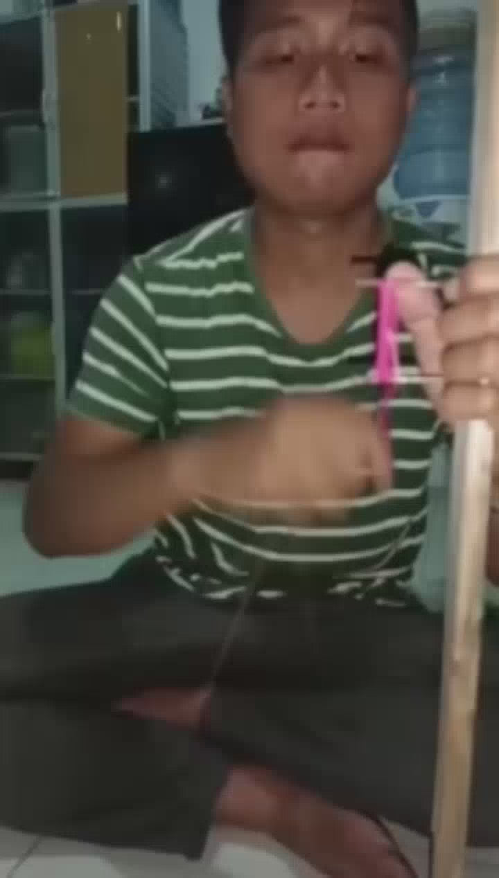 POM PON!